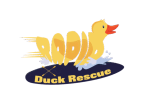 Duck Rescue